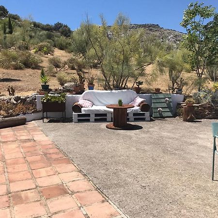 Cortijo Nuevo Alojamiento Rural Cuevas del Becerro Esterno foto