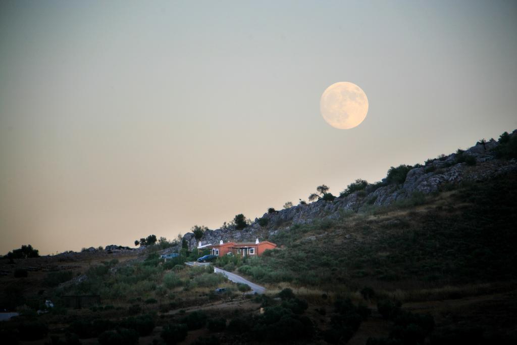 Cortijo Nuevo Alojamiento Rural Cuevas del Becerro Esterno foto